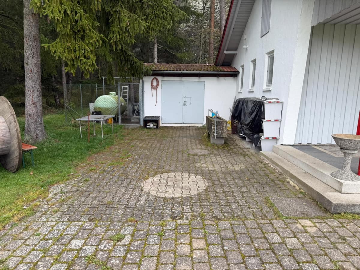 Einfahrt vor der Reinigung – deutliches Moos und Verschmutzungen zwischen den Pflasterfugen